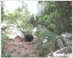  2025Ÿ��21775  ����