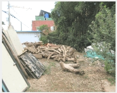  2025Ÿ��21775  ����