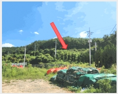  2025Ÿ��21783 �泲 ������ ���ϸ� ���¸� ��11-5      ����(�Ӿ�)���