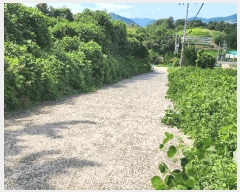  2025Ÿ��21783 �泲 ������ ���ϸ� ���¸� ��11-5      ����(�Ӿ�)���