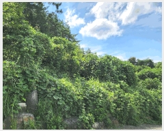  2025Ÿ��21783 �泲 ������ ���ϸ� ���¸� ��11-5      ����(�Ӿ�)���