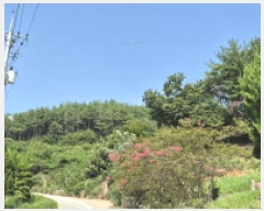  2025Ÿ��21783 �泲 ������ ���ϸ� ���¸� ��11-5      ����(�Ӿ�)���