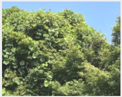  2025Ÿ��21783 �泲 ������ ���ϸ� ���¸� ��11-5      ����(�Ӿ�)���