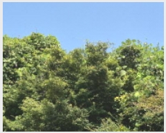  2025Ÿ��21783 �泲 ������ ���ϸ� ���¸� ��11-5      ����(�Ӿ�)���