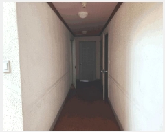  2025Ÿ��21831  ���ڽü����