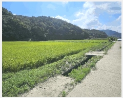  2025Ÿ��21847  ����