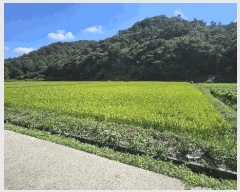  2025Ÿ��21847  ����