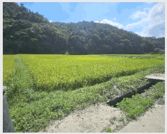  2025Ÿ��21847  ����