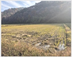  2025Ÿ��21847  ����