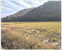  2025Ÿ��21847  ����