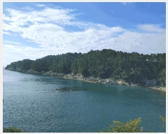  2025Ÿ��21863 �泲 �뿵�� ����� �ߵ��� ��64      ����(�Ӿ�)���