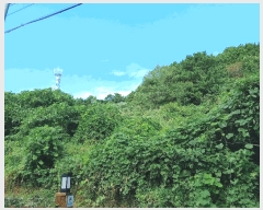  2025Ÿ��21863 �泲 �뿵�� ����� �ߵ��� ��64      ����(�Ӿ�)���