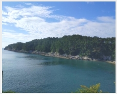  2025Ÿ��21863 �泲 �뿵�� ����� �ߵ��� ��64      ����(�Ӿ�)���