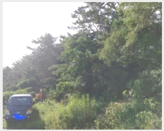  2025Ÿ��21863 �泲 �뿵�� ����� �ߵ��� ��64      ����(�Ӿ�)���