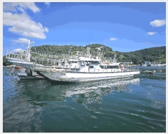  2025Ÿ��21871 �泲 �뿵�� ����� ������ 1425-5      ���ڰ��