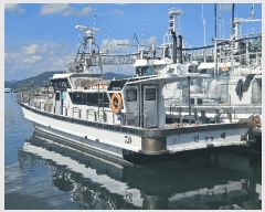  2025Ÿ��21871 �泲 �뿵�� ����� ������ 1425-5      ���ڰ��