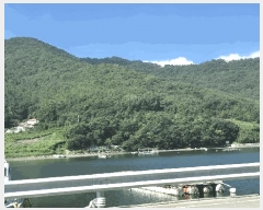  2025Ÿ��21880 �泲 �뿵�� ����� ���۸� ��389-2      ����(�Ӿ�)���