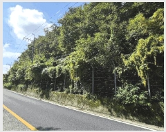  2025Ÿ��21880 �泲 �뿵�� ����� ���۸� ��389-2      ����(�Ӿ�)���