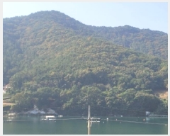  2025Ÿ��21880 �泲 �뿵�� ����� ���۸� ��389-2      ����(�Ӿ�)���