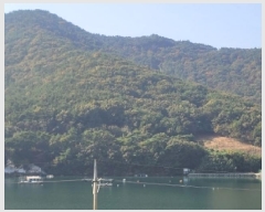  2025Ÿ��21880 �泲 �뿵�� ����� ���۸� ��389-2      ����(�Ӿ�)���