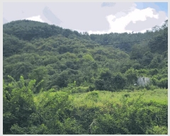  2025Ÿ��21938 �泲 ������ ������ ħ���� ��43      ����(�Ӿ�)���