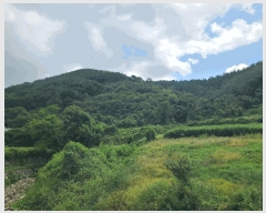  2025Ÿ��21938 �泲 ������ ������ ħ���� ��43      ����(�Ӿ�)���