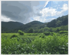  2025Ÿ��21938 �泲 ������ ������ ħ���� ��43      ����(�Ӿ�)���