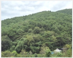  2025Ÿ��21938 �泲 ������ ������ ħ���� ��43      ����(�Ӿ�)���