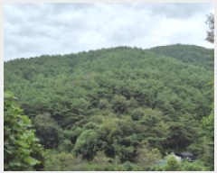  2025Ÿ��21938 �泲 ������ ������ ħ���� ��43      ����(�Ӿ�)���