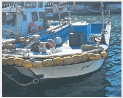  2025Ÿ��21987 �泲 ������ ������ ������       ���ڰ��