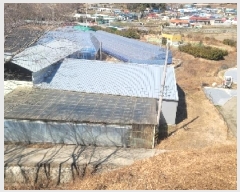  2025Ÿ��169  ���(�󰡽ü�)���