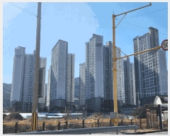  2025Ÿ��336  ����Ʈ���