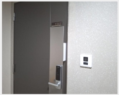  2025Ÿ��336  ����Ʈ���