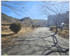  2025Ÿ372 泲  д л긮 67      ڽü,,ȣ,