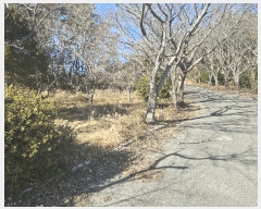  2025Ÿ372 泲  д л긮 67      ڽü,,ȣ,