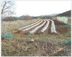  2025Ÿ381 泲   뵶 15      (1)