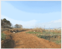  2025Ÿ381 泲   뵶 15      (1)