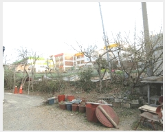  2025Ÿ381 泲   뵶 15      (1)