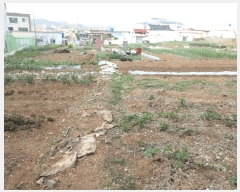  2025Ÿ381 泲   뵶 15      (1)