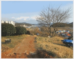  2025Ÿ381 泲   뵶 15      (1)