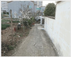  2025Ÿ381 泲   뵶 15      (1)