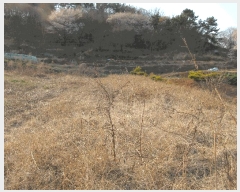  2025Ÿ381 泲   뵶 15      (1)