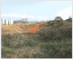  2025Ÿ381 泲   뵶 15      (1)