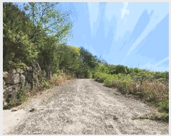  2025Ÿ��389  �Ӿ߰��