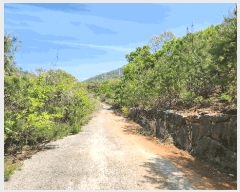  2025Ÿ��389  �Ӿ߰��