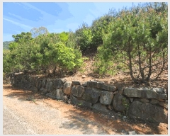  2025Ÿ��389  �Ӿ߰��