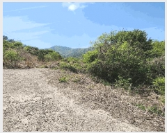  2025Ÿ��389  �Ӿ߰��