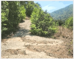  2025Ÿ��389  �Ӿ߰��