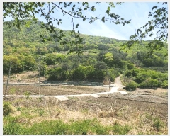  2025Ÿ��389  �Ӿ߰��