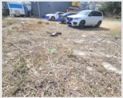  2025Ÿ��406  �����